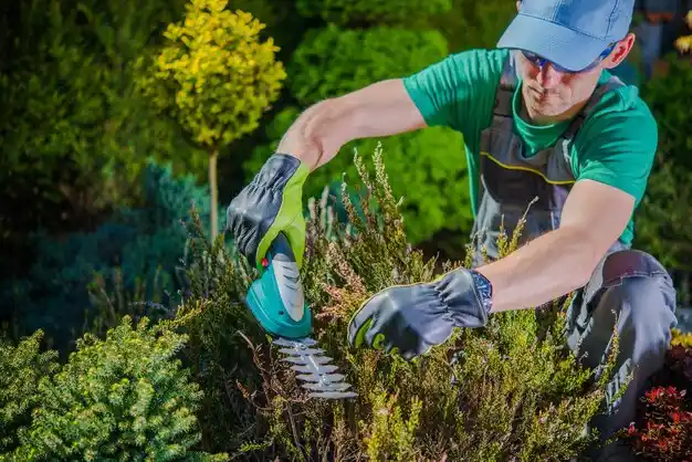 landscaping services Berwick